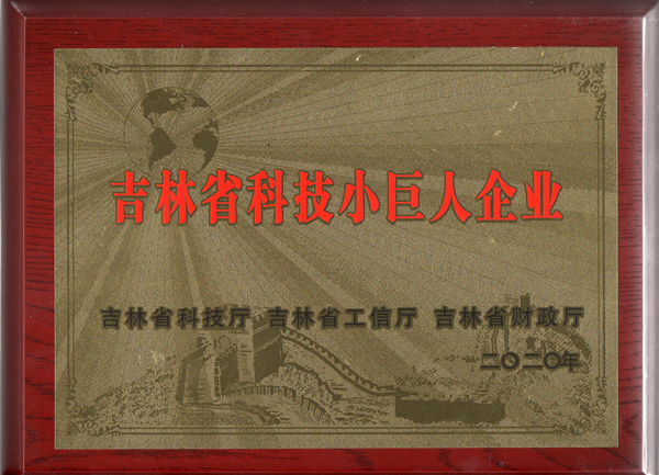 0008PG国际物业获“吉林省科技幼巨人企业”称号_副本.jpg