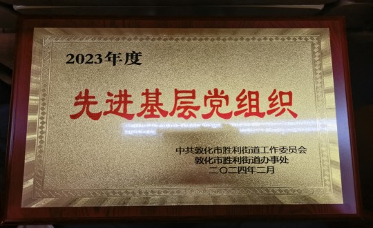 2024年2月1日，物业总公司敦化项目党支部被授予“2023年度先进基层党组织”荣誉称号_副本.jpg