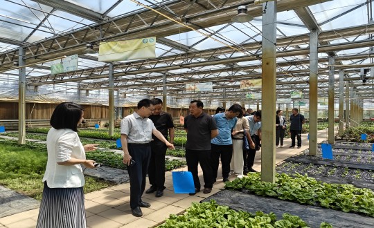 2024年6月27日，中国绿色食品发展中心有关辅导光临农业总公司调查调研_副本.jpg
